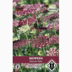 Blomsterfr Daucus carota Dara - Gulerodsblomst (ca. 200 fr)