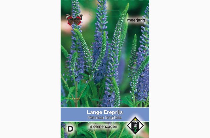 Langbladet �renpris � Veronica longifolia � Fr� (ca. 200 stk.)