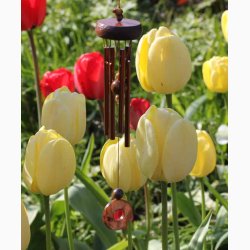 Vindklokke Woodstock Precious - Tiger's-Eye