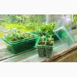 Minidrivhus Sbakke med lg 20 celler