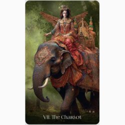 Tarotkort When Women Had Wings Tarot Deck af Sullins, Angi