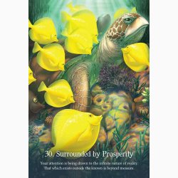 Orakelkort Whispers of the Ocean Oracle Cards af Angela Hartfield