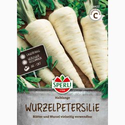Persillerod � Petroselinum crispum var. tuberosum �Halblange� � Fr�