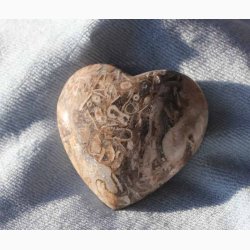 Stromatolit hjerte krystal sten ca. 5 * 5 cm