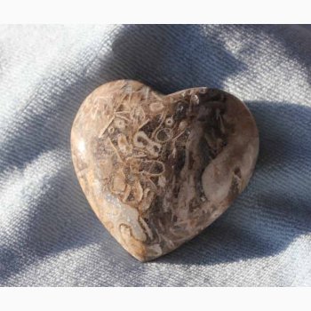 Stromatolit hjerte krystal sten ca. 5 * 5 cm