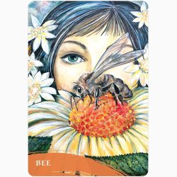 Orakelkort THE ZEN OF ANIMALS  af Mathews Pamela