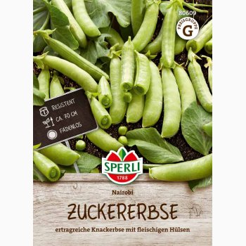 Zuckererbse Nairobi - Sukkerrt