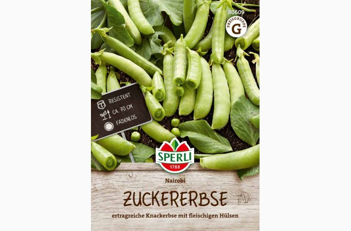 Zuckererbse Nairobi - Sukkerrt