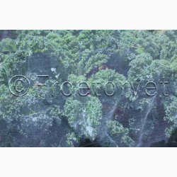 Bionet - 5*2 (5 Meter langt og 2 meter bredt)