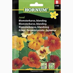 Blomsterkarse, blanding, Juvel (min. 15 fr)
