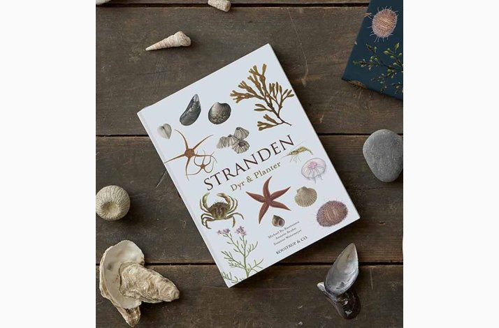 STRANDEN - DYR OG PLANTER, bog