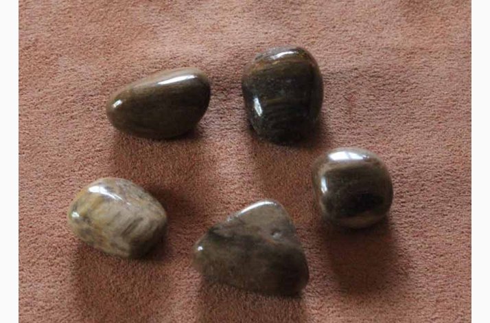 PETRIFIED WOOD - Forstenet tr krystal stk. pris