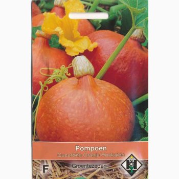 Grskarfr Curcurbita Uchiki kuri Orange Hokkaido - grskar (ca.10 fr)