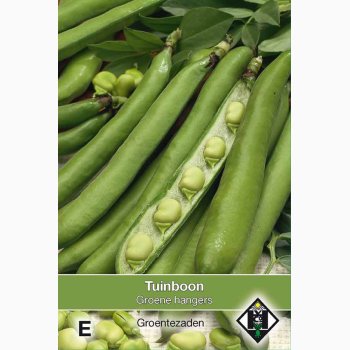 Bondb�nne �Green Hangdown� � Vicia faba � Fr� (60 g)
