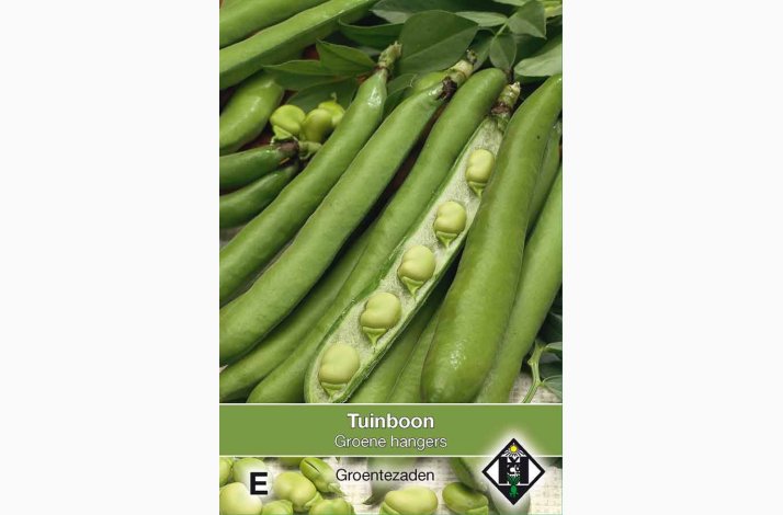 Bondb�nne �Green Hangdown� � Vicia faba � Fr� (60 g)
