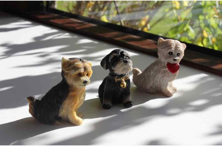 Sd hund i juletiden eller ret rundt, vlg