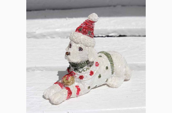 Verdensrekord Guinness Book Migration bruser Hvid liggende hund med rød hue - Julemarked - Frøtorvet ApS