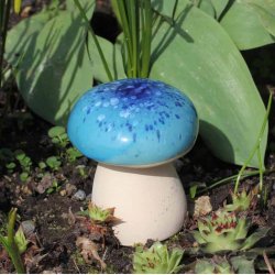 Bl nuancer Svampe i keramik med rund top (7*8 cm), vlg