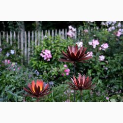 Krysantemum i jern med rustrd patina H:114 cm, stk. pris