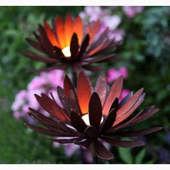 Krysantemum i jern med rustrd patina H:114 cm, stk. pris