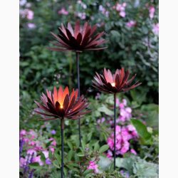 Krysantemum i jern med rustrd patina H:114 cm, stk. pris