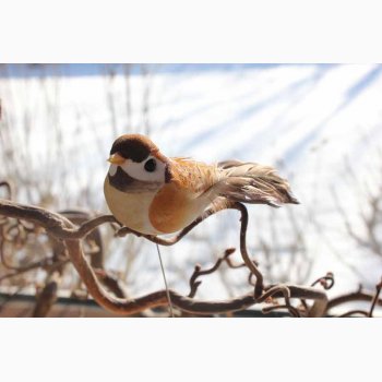 Dekorationsfugl med stick lattefarvede fjer L: 9 cm- kigger til hjre