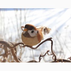 Dekorationsfugl med stick lattefarvede fjer L: 9 cm- kigger frem