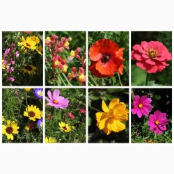 Blomstermiks til Mariehns (min 2 gram fr + 2 gram overpacked )