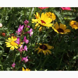 Blomstermiks til Mariehns (min 2 gram fr + 2 gram overpacked )