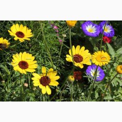 Blomstermiks til Mariehns (min 2 gram fr + 2 gram overpacked )