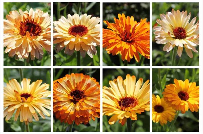 Morgenfrue Playtime mix ( min.10 fr)