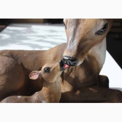 Rdyr med kid L:16.1 x B 27.2 x H:23 cm