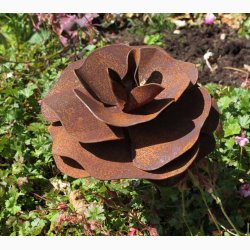 Rose ( D:13 cm) i jern med rustrd patina med bjelig stang