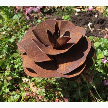 Rose ( D:13 cm) i jern med rustrd patina med bjelig stang