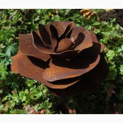 Rose ( D:13 cm) i jern med rustrd patina med bjelig stang