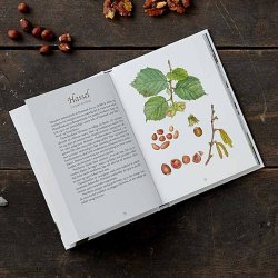 SPISELIGE VILDE FRUGTER 2. udgave af Bente Halkjr, bog