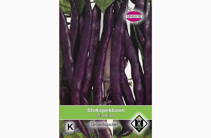 Stangb�nne �Blauhilde� � Phaseolus vulgaris � Fr� (30 g)