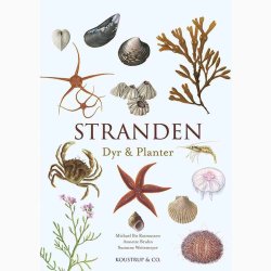 STRANDEN - DYR OG PLANTER, bog