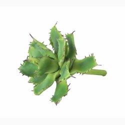 Kunstig Plante Aloe Vera plante med rde pigge H:15 cm