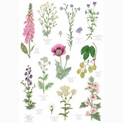 VISKESTYKKE (�kologisk bomuld) - Klosterhaven 