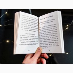 Orakelkort p dansk Utmmede stemmer - af Mathilde Denning