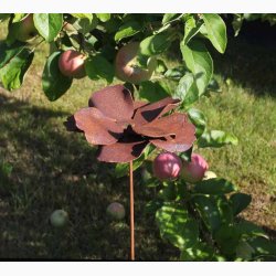 Valmue i jern med rustrd patina H:80 cm