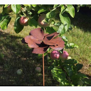 Valmue i jern med rustrd patina H:80 cm