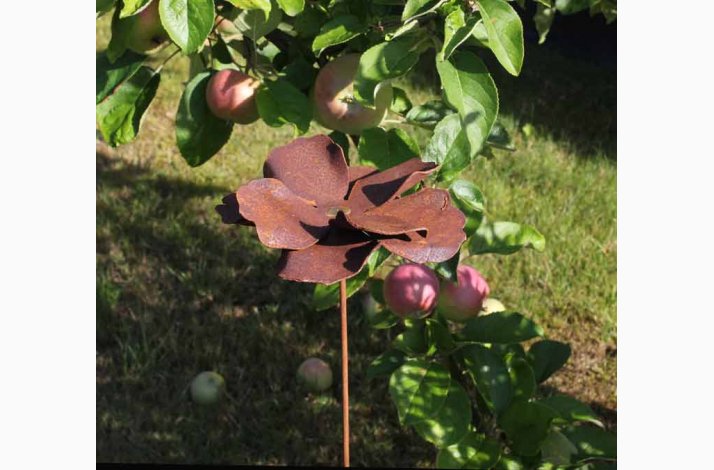 Valmue i jern med rustrd patina H:80 cm