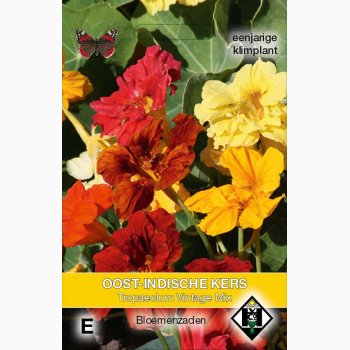 Tropaeolum majus Vintage - Blomsterkarse