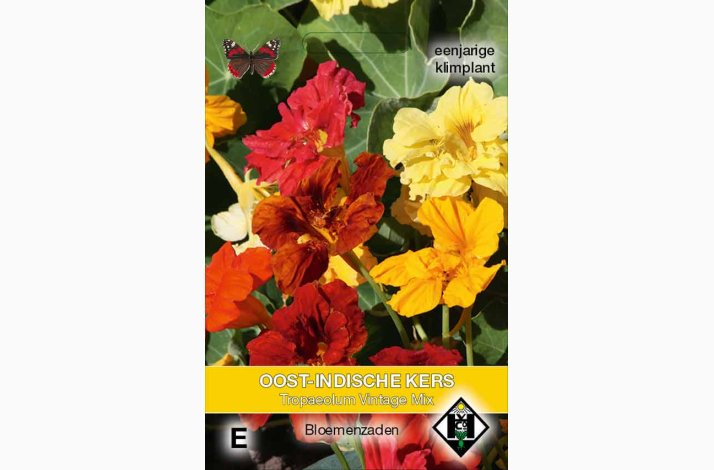 Tropaeolum majus Vintage - Blomsterkarse