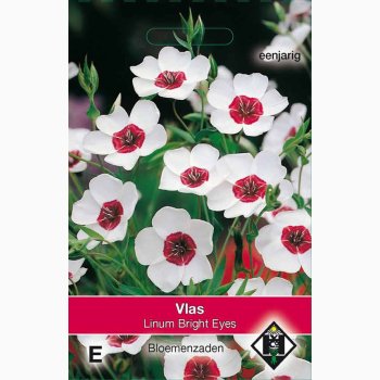 Linum grandiflorum Bright Eyes -hrblomst