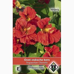 Blomsterfr, TROPAEOLUM Majus Cherrelle - Blomsterkarse