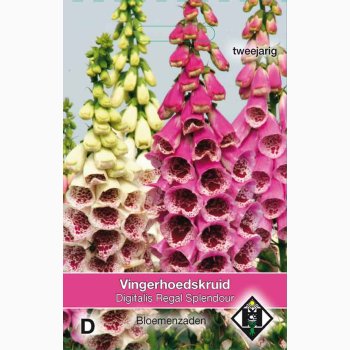 Digitalis purpurea Regal Splendour - Fingerbl (ca. 200 fr)