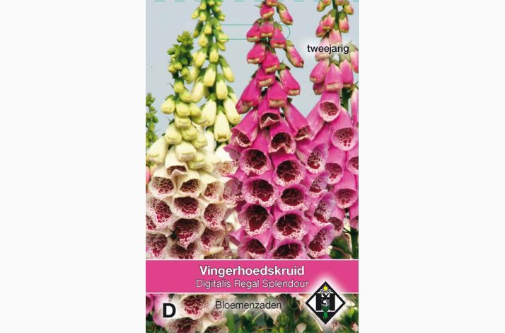 Digitalis purpurea Regal Splendour - Fingerbl (ca. 200 fr)